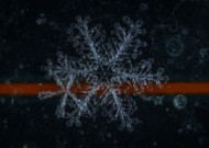 显微镜拍摄的雪花图片