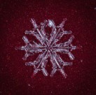 显微镜拍摄的雪花图片