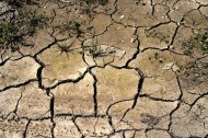 干旱的土地图片
