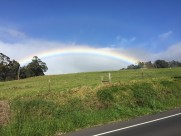 七色的彩虹图片