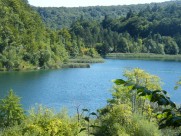 风景秀丽的湖泊图片