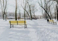 雪地里的公园图片