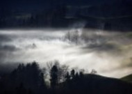 雾天的森林图片大全