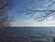 清澈的湖泊的图片