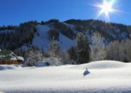 白茫茫的雪景图片