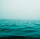 泛着波纹的平静海面图片