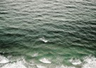 水面的波纹图片