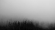 浓雾弥漫的景色图片大全