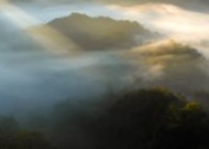 雾气缭绕的森林图片