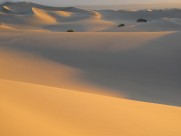 辽阔无边的沙漠图片