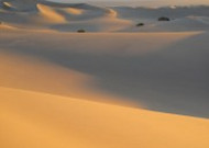 辽阔无边的沙漠图片