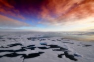 南极洲的雪图片大全