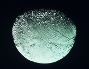 奇妙的星球图片