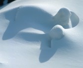 皑皑的雪地图片