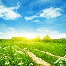 春天草地景色图片