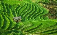 梯田风光图片