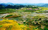 梯田风光图片