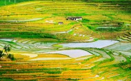 梯田风光图片
