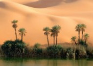 沙漠绿洲美景图片