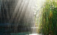 唯美的雨图片