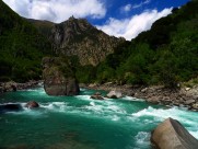 尼洋河风景图片