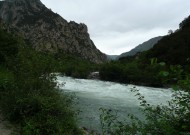 尼洋河风景图片