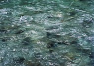 河水水流图片