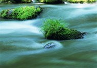 河水水流图片