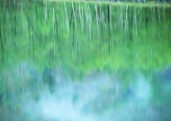 水中美丽风景图片大全