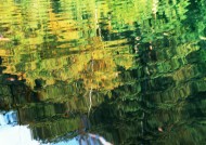 水中美丽风景图片大全