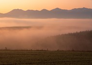 夕阳迷雾风景图片大全
