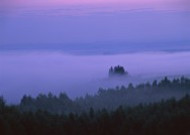 夕阳迷雾风景图片大全