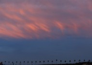 夕阳下的云彩图片