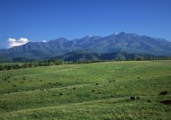 蓝天白云田地图片