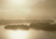 朦胧湖面倒影图片