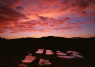夕阳下的梯田图片