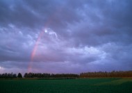 美丽的彩虹图片