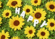 夏季花朵素材图片