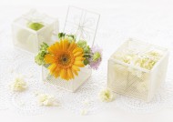 夏季花朵素材图片