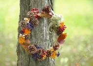 秋季花朵素材图片大全