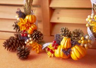 秋季花朵素材图片大全