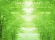 朦胧绿影图片