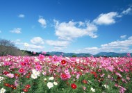 人与绿色大自然图片