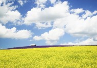 人与绿色大自然图片