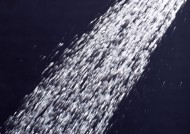 夏日凉爽情景图片