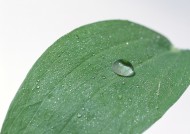 夏日凉爽情景图片