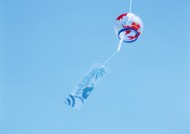 夏日凉爽情景图片