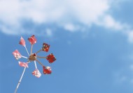 夏日凉爽情景图片