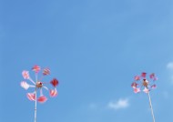 夏日凉爽情景图片