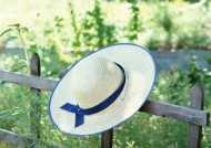 夏日凉爽情景图片